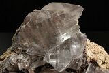 Glassy Selenite Crystal Cluster - Naica Mine, Mexico #325056-1